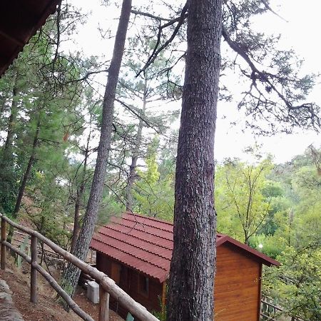 ホテル Camping La Eliza Lanzahita エクステリア 写真