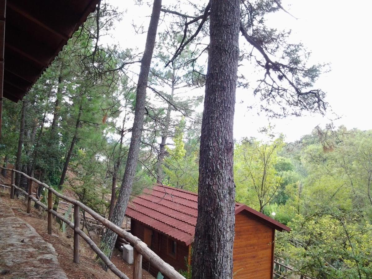 ホテル Camping La Eliza Lanzahita エクステリア 写真